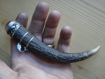 DSC02615.jpg