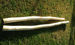 Foto0100.jpg