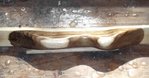 DSCF0795.JPG
