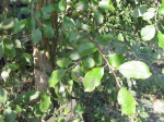 IMG_1901 - Kopie.JPG