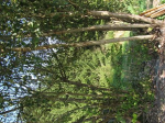 IMG_1902 - Kopie.JPG