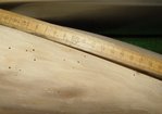 DSC01318.JPG