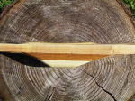 R6005090.JPG