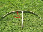R6005093.JPG