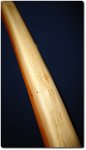 Sapwood