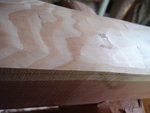 DSC03343.JPG
