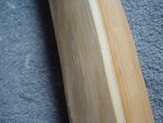 DSC03354.JPG