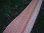 DSC03360.JPG