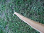 DSC03364.JPG