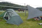 DSC00049.JPG