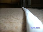 BILD2659.jpg