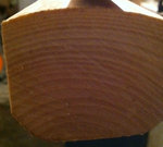 Bild 2 6 Jahresringe je nur 1mm