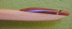 BILD0034.JPG