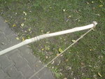 seitenansicht recurve-versuch + pflaster