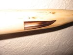 Tillerbaum 002.jpg