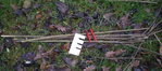 pfeilbau12.JPG (130.02 KiB) 2233 mal betrachtet Mit Waltascher Saplingrohlingdurchmessermessschablone