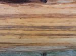 dscf8194.jpg