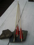 Pfeilsap 034.jpg