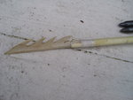 Pfeilsap 026.jpg