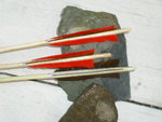 Pfeilsap 029.jpg