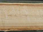 dscf8205.jpg