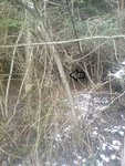 DSC03973.JPG