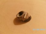 BILD0063.JPG