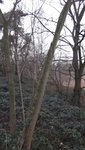 das Objekt meiner Begierde