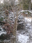 DSC04012.JPG