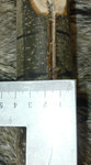tadoma2.jpg