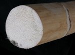 Querschnitt einer ungeschälten Rattan Stange