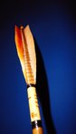 DSC03539.JPG