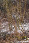 DSCF5018web.jpg