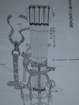 DSC00146.JPG