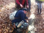 30 Pfeile wurden rausgepult