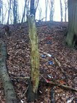 30m Ziele wurden gnadenlos ausgelöscht