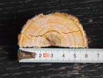 DSCF5035web.jpg