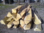 201203041176.jpg