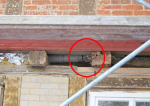 PL_5474.jpg