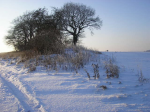 Weihnachten 09 043.jpg