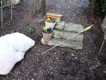 DSCF0741.JPG