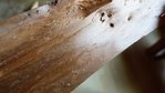 DSC03937.JPG