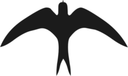 Vogel-197536-m.jpg