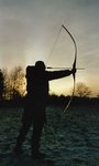 img233.jpg