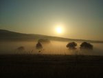 DSCF0927.jpg