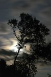 IMG_0648.jpg