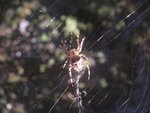 DSCF1561.JPG