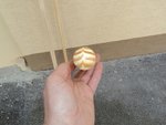 Unbekannte Holzart