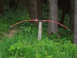 verlieren kann man den nicht so leicht im Wald...