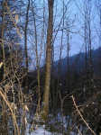 P1010004.JPG